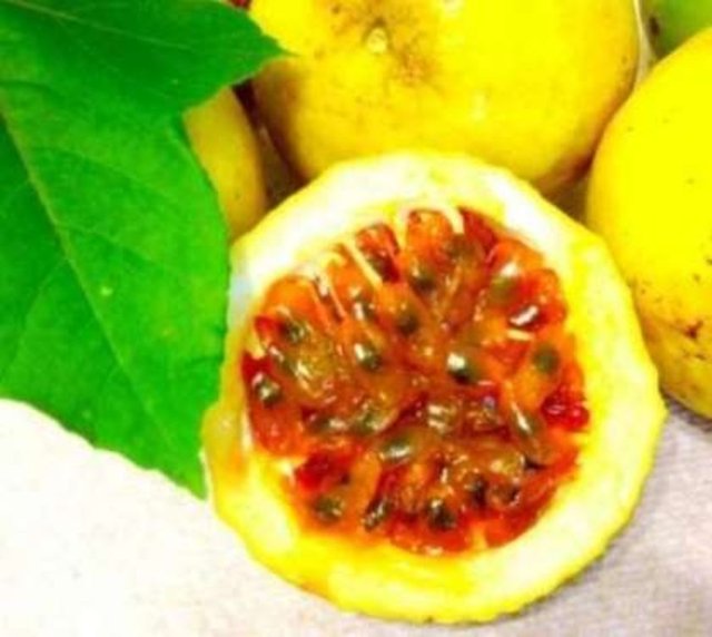 Passifloranın çekirdeklerini, tamamını çiğ meyve olarak yiyebilirsiniz. Meyve suyu, kokteyl, tatlı, dondurma, ve meyve salatalarında kullanabilir, hoş koku ve tat vermesi açısından yemeklerinizin yanında garnitür olarak da tüketebilirsiniz.