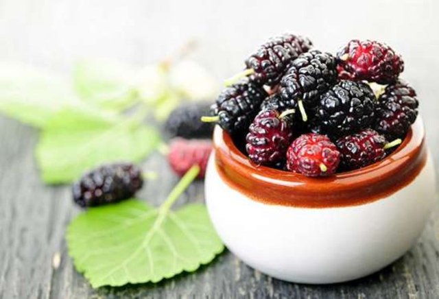 KARADUT - Karadut ise ağız ve boğaz iltihaplarında mucize etkiler gösterir. Dut hangi şekilde tüketilirse tüketilsin iyi bir kan yapıcıdır. Kişinin kilo almasını sağlar ve iştah açar.