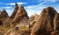 Kapadokya'da bahar
