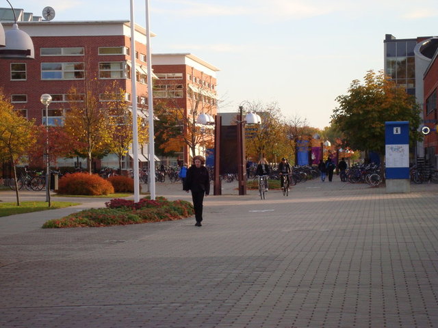 59- Linköping University 	 - İSVEÇ