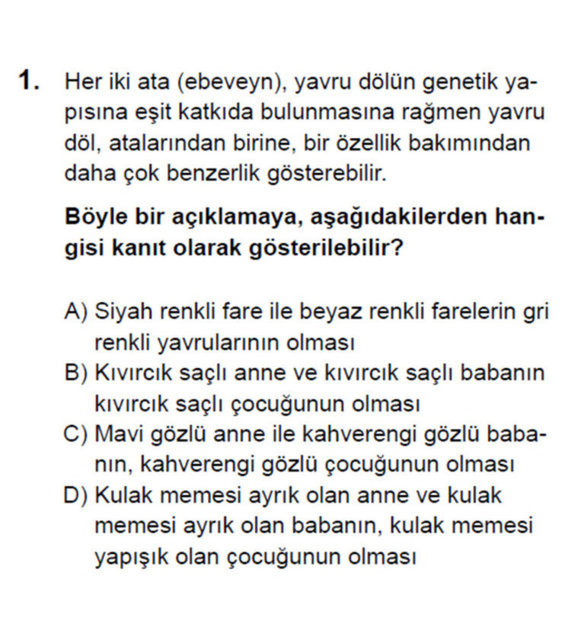 Fen Bilgisi Soru ve Cevapları - CEVAP: C