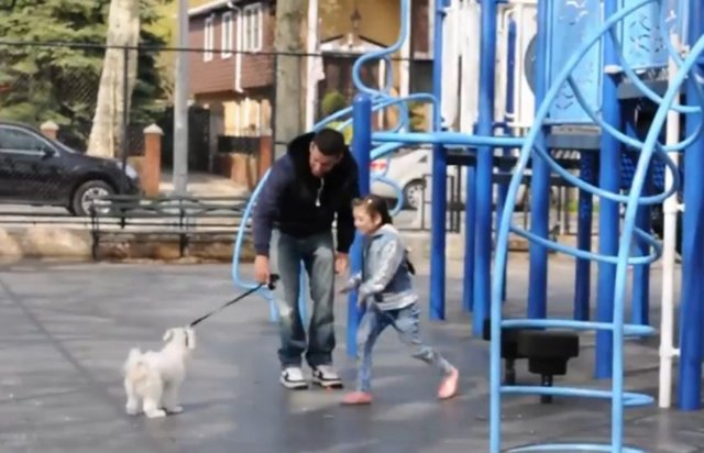 Çocuklar, şahıs ve köpek...