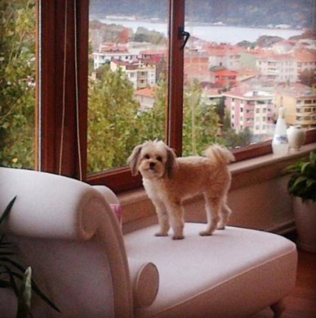 Bu da anne- kızın deniz manzarası.