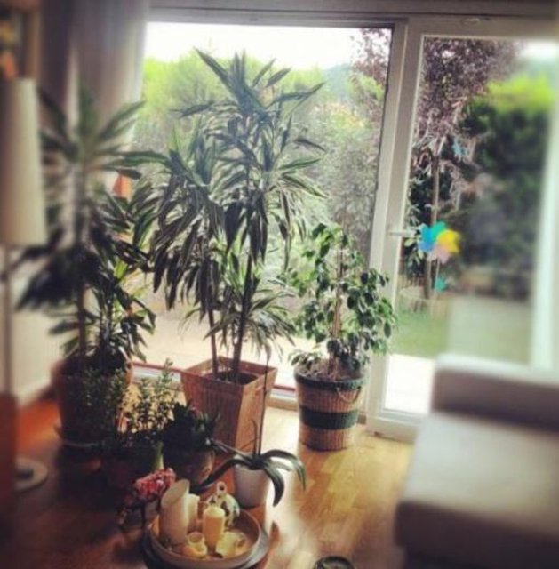 Salonu da bahçeye bakıyor.  -