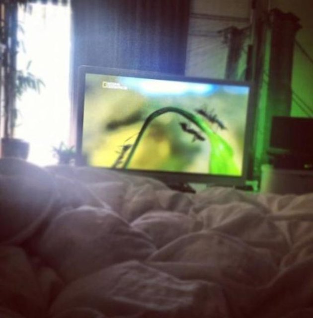 DOĞA RUTKAY  - Doğa Rutkay'ın yatak odası bahçe manzaralı.