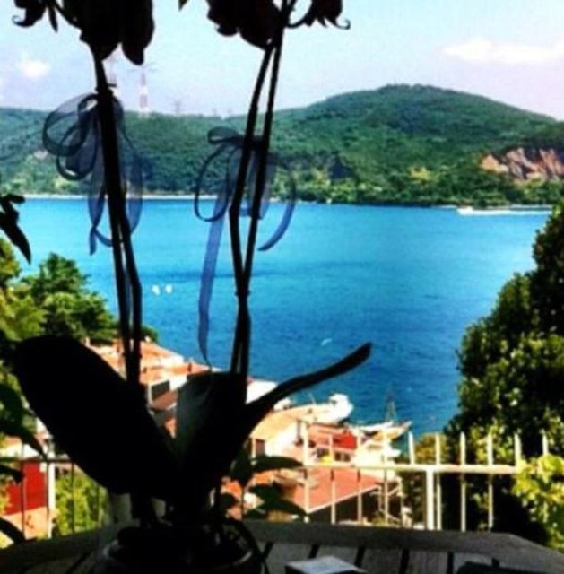 ŞEHRAZAT  - Ünlü söz yazarı Şehrazat'ın salonunun manzarası.