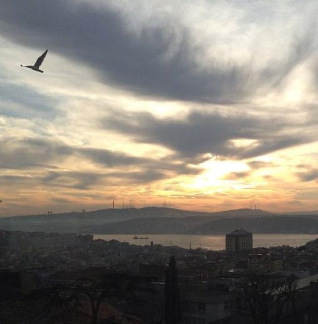 Aydın'ın salon penceresinden güneşin doğuşu.  -