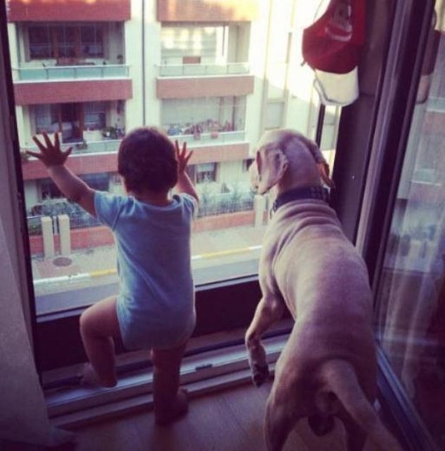 Karaca'nın kızı ve köpeği de bu manzarayı seyretkeye doyamıyor.