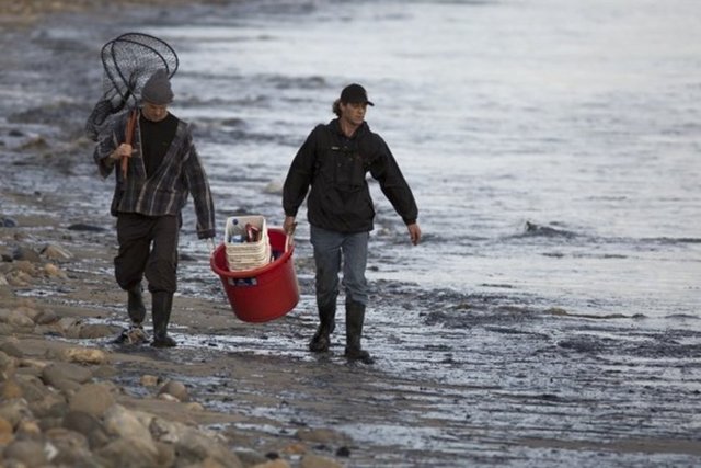 Yetkililer, petrol sızıntısının Refugio sahilinde 4 millik bir alanda gözle görüldüğünü belirtti.