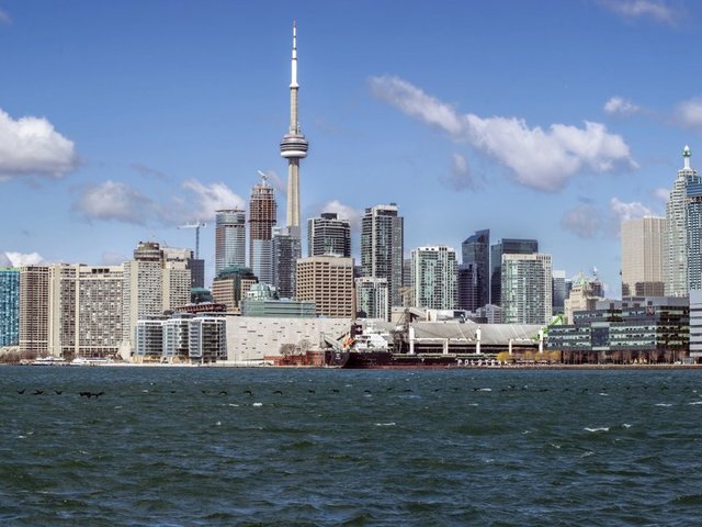 13: Toronto - 629 kilometrekareye 2.029 boyunda binaları vardır. -