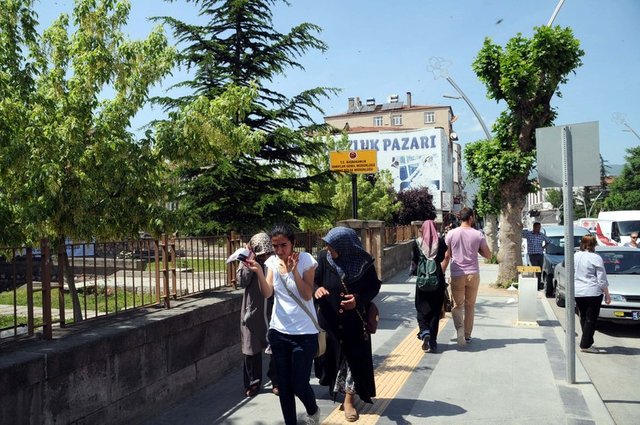 Gaziosmanpaşa güzergahı sonrası eski müze önünde bulunan bir ağaçta oğul oluşturdu.