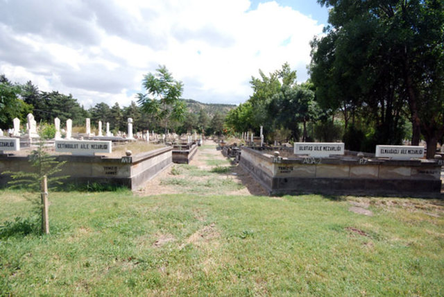 Daha sonra ölen bu sinekleri yemek için başka böcekler geliyor. Geriye kemikler kalana kadar bu istila devam ediyor. Kaynak: Mynet