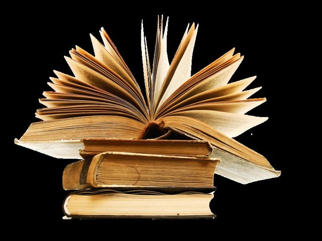 kasım'da bir çınar olurdum - yaprak yaprak dökülürdüm - kalbimi sıkı tutmasam -