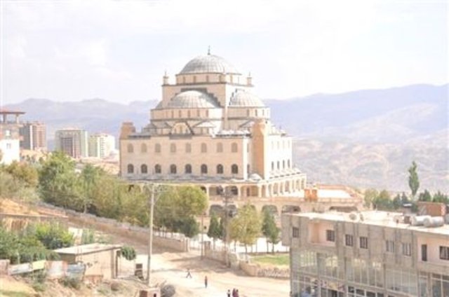 Şırnak - 	 -  - 517