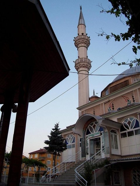 Kütahya - 	 -  - 1,206