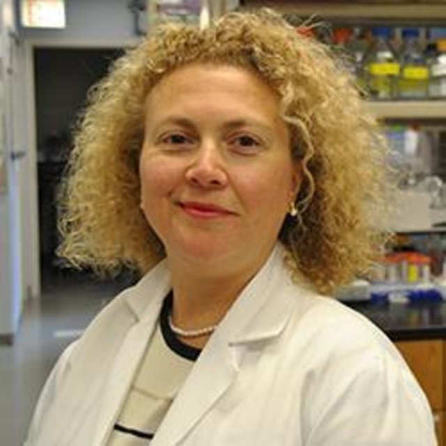 29- Doç. Hande ÖzdinlerNöroloji, Northwestern University Feinberg School of Medicine