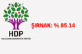 HDP'nin en yüksek oy oranına ulaştığı şehirler!