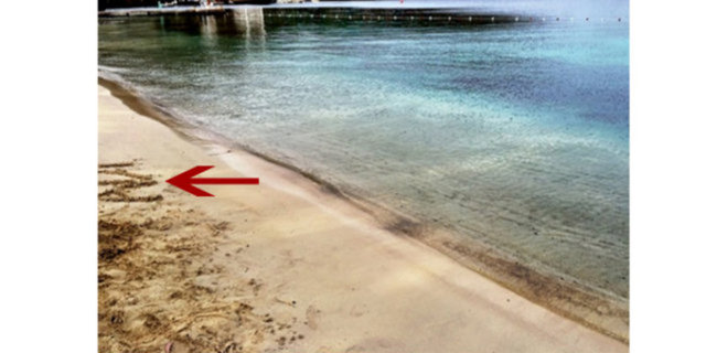 Çift, isimlerinin baş harflerini kumların üzerine yazdıkları bir fotoğrafı sosyal medyada paylaşıp ilişkilerini ilan etti.