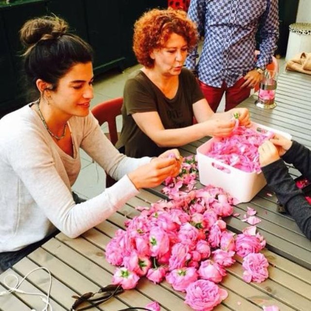 BERRAK TÜZÜNATAÇ  - Reçellik gül ayıklamaca