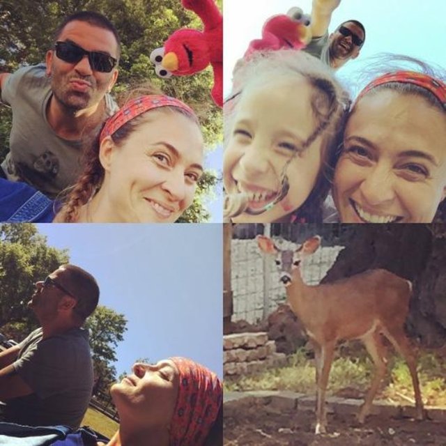 ECE VAHAPOĞLU - Deniz kenarından uçağa.