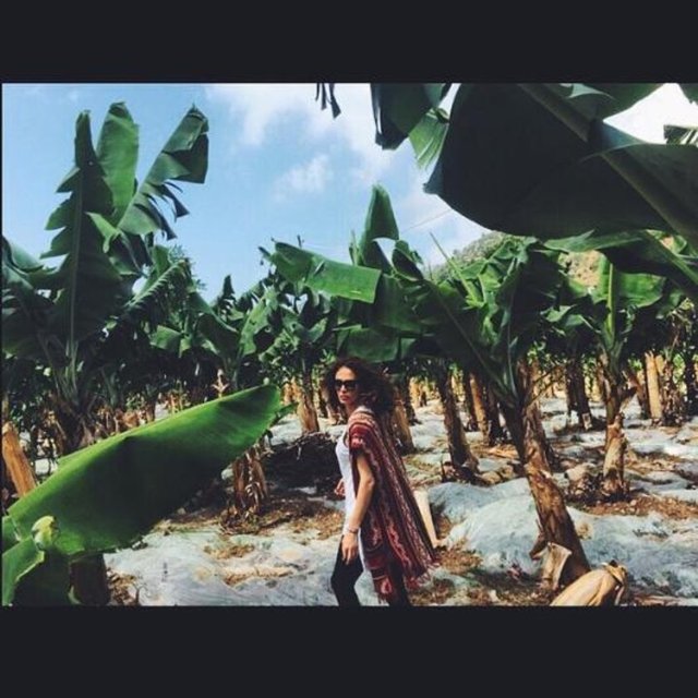 AYŞE HATUN ÖNAL - Yürümek iyidir.  -