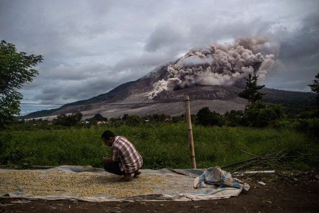 Endonezya'nın batısındaki Sinabung Yanardağı, havaya gaz, kül ve taş püskürtmeye devam ediyor.