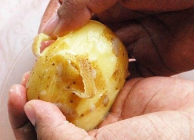 Elmaların renk değiştirmesini de 2 ölçek su ve 1 ölçek bal ile önleyebilirsiniz.