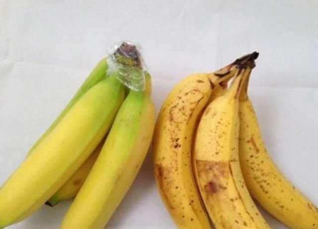 Muzun daha uzun süre dayanması için koparıldığı yere plastik sarmanız yeterlidir.