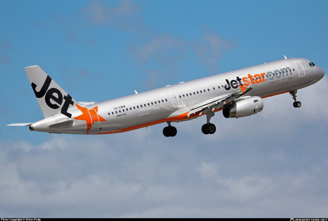 44 	Indigo2014 Reytingleri 	43