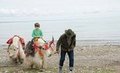 Dünyayı dolaştılar hem de hiç uçak kullanmadan!