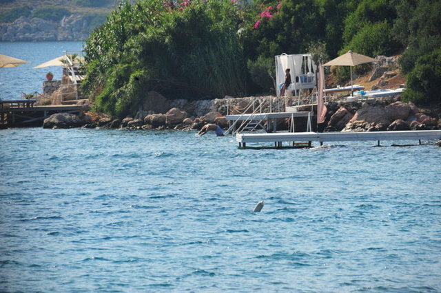 Onur AYDIN / HT MAGAZİN - Kıvanç Tatlıtuğ- Başak Dizer çifti önceki gün, geçtiğimiz yıl çadır kurdukları Datça'daydı. Bu kez otelde kalmayı tercih eden ikili, plajda görüntülendi.