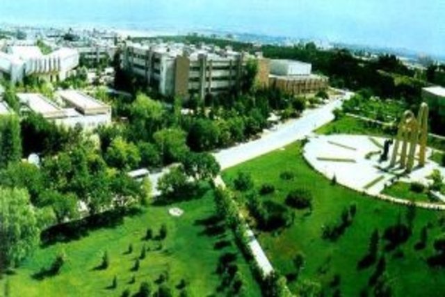 Hacettepe University Türkiye 82