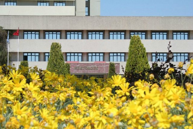 19. Akdeniz Üniversitesi