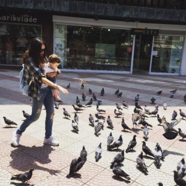 HANDE ATAİZİ - Kuşlara da biraz yem atalım hadi bakalım  -