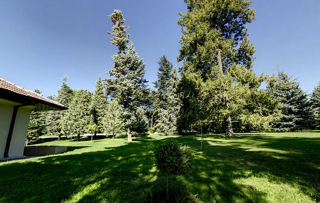 BAŞYAVERLİK ARKA BAHÇE