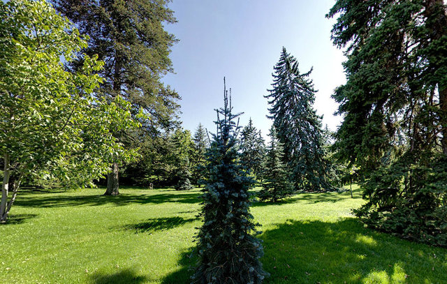 BAŞYAVERLİK YAN BAHÇE