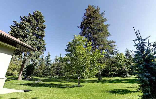 BAŞYAVERLİK YAN BAHÇE