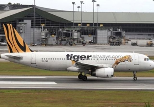 Tiger Airways: Kaplan