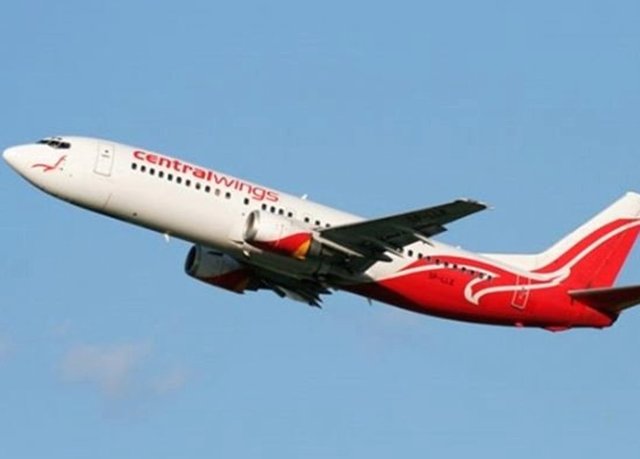 Centralwings: Yırtıcı martı