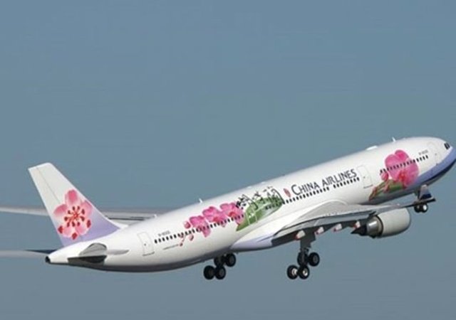 China Airlines: Erik ağacı çiçeği