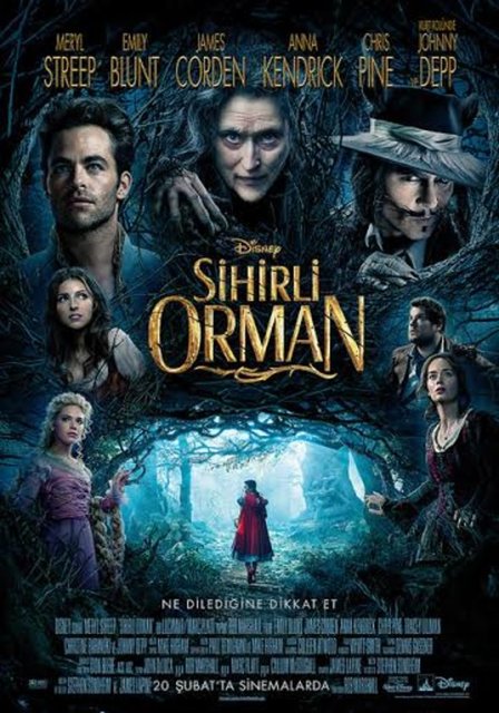 22-Sihirli Orman (Into the Woods) (2014): Rob Marshall'ın 1987 tarihli Broadway oyunundan sinemalaştırdığı eser, üç dalda Oscar'a aday oldu. Ortak paydası orman olan popüler masallardan bir müzikal tanımı yaratmasıyla dikkat çekti.