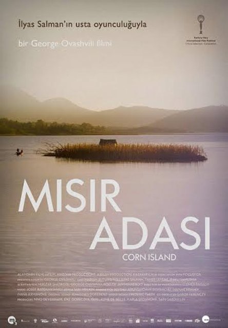12-Mısır Adası (Simindis Kundzuli) (2014): Yaşlı bir adam ile küçük bir kızın ufak bir kara parçasına sıkışan ilişkisi, Gürcü-Abhaz sorunu için soyut bir sinema dili nesnesine dönüşüyor. Ovashivili'nin filminde İlyas Salman'ın başrol performansı da çok iy