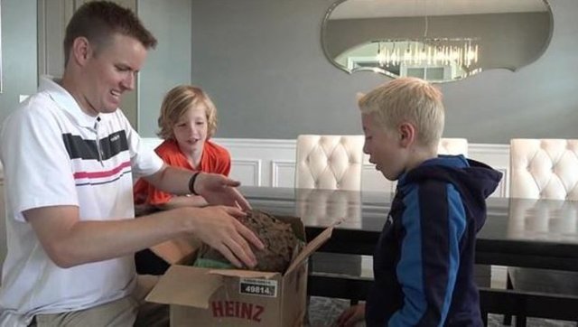 İşte arı kovanının içinin görüntüleri...