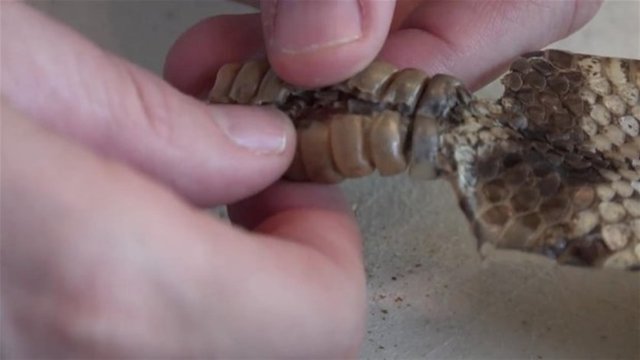 Kesim işlemi bittiğindeyse baba oğul olayı şaşkınla karşılıyorlar.