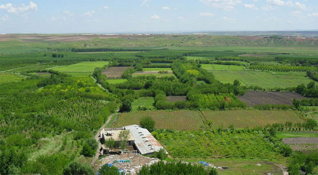 HEVSEL BAHÇELERİ (2015)