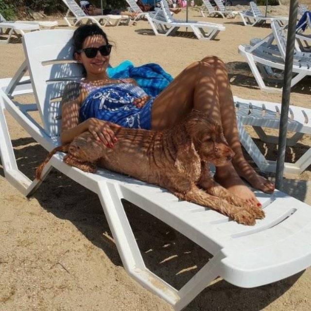 BAŞAK SAYAN - Karşılıksız sevginin ne demek olduğunu anlamak için hayatınızda bir köpegin olmasi gerekir