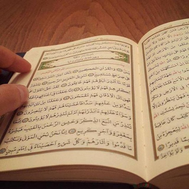 MUSTAFA CECELİ - Şifa.. OKU'yana