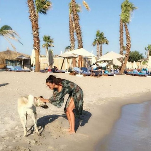 ASENA TUĞAL - Tesla'mın hasretini gidermenin tek yolu  -