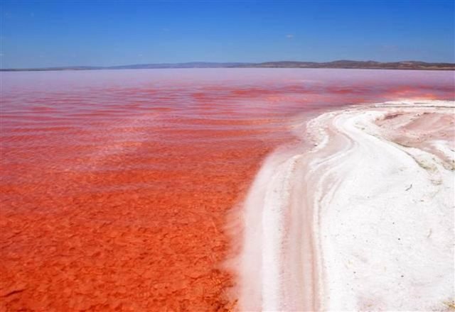 Bunun neticesinde tuzun oluşum hızı arttı, tuzun kalitesine de etkisi oldu. Bir tarafta beyaz renkte tuz oluşurken, yanında kırmızı renkte su bulunuyor."
