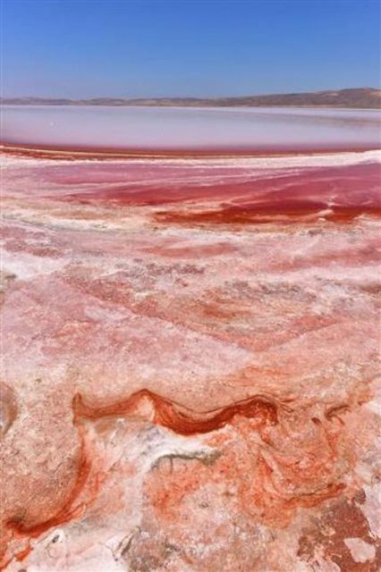 ve doğal bir şekilde kırmızı formu alıyor. Dunaliella salinaların çok olduğu bölge kırmızı görünüyor" diye konuştu.